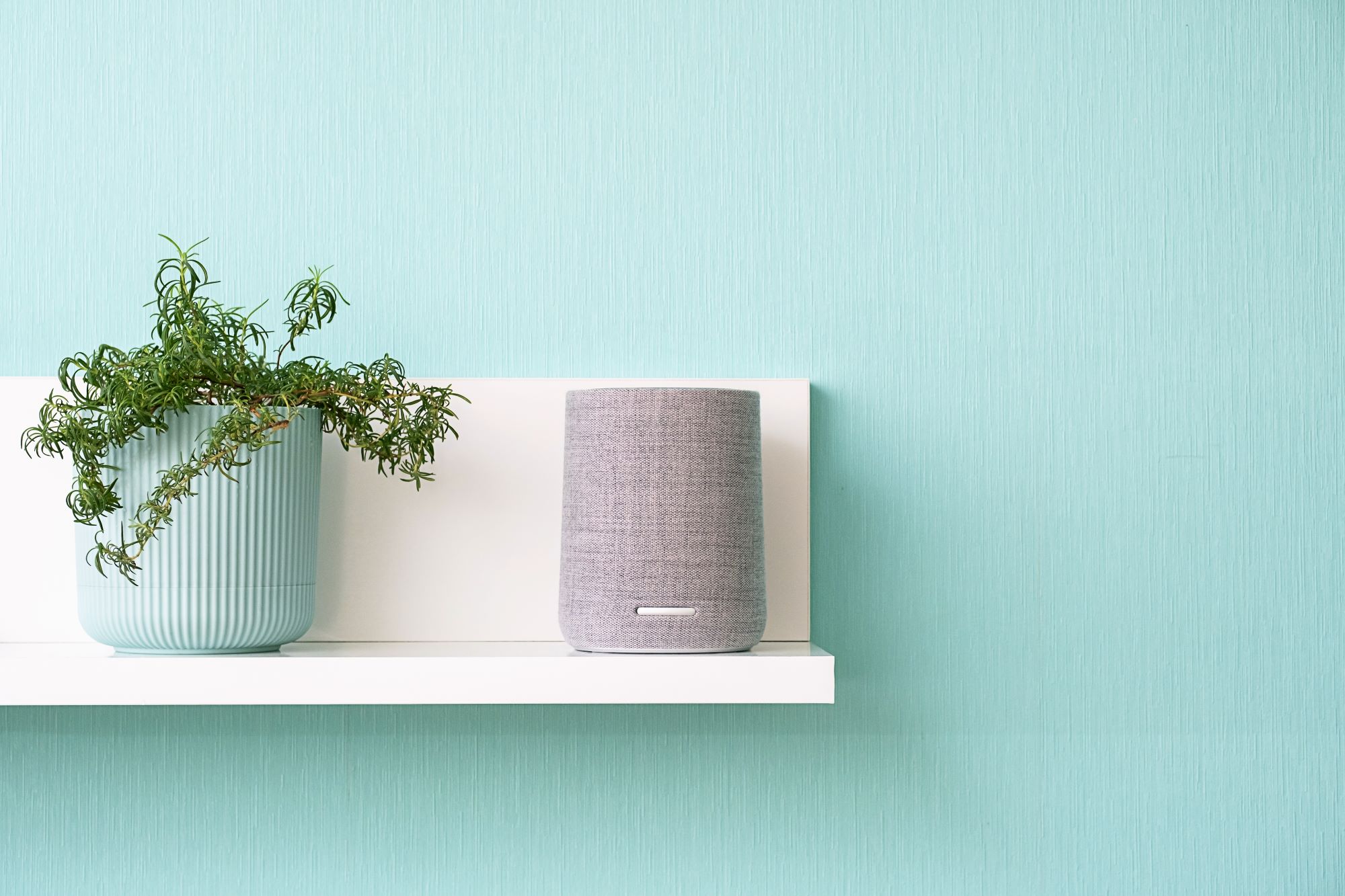 Smart home speaker on a wall shelf next to a potted plant